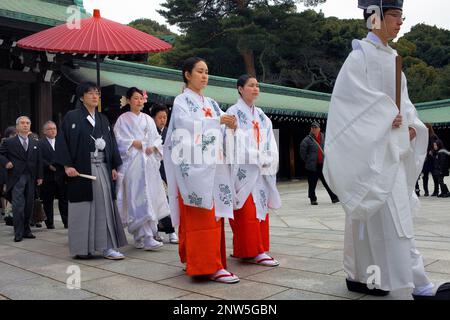 Heiligtum der Meiji Jingu.Traditional Hochzeit, Tokio, Japan, Asien Stockfoto