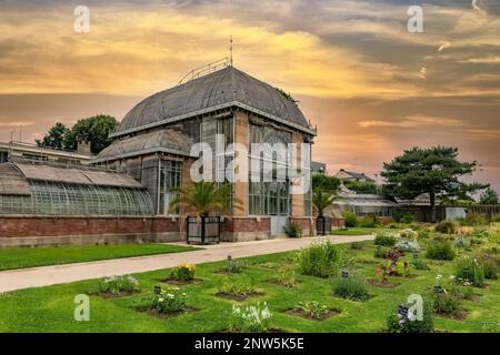 Nantes in Frankreich, Gewächshaus im Jardin des Plantes, einem Garten in der Stadt Stockfoto