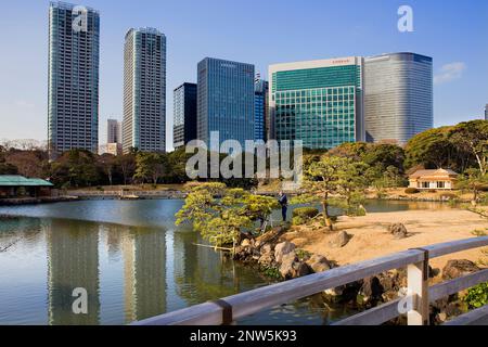 Gärtner arbeiten in Hama Rykiu Garten, Shiodome Viertel, Tokio, Japan, Asien Stockfoto