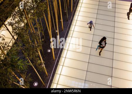 Einkaufszentrum Galleria, Tokyo Midtown Komplex in Tokyo Midtown Tower von den Architekten Tadao Ando und Jun Aoki, Stadtteil Roppongi, Tokyo, Japan Stockfoto