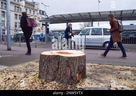 London, Großbritannien. 28. Februar 2023. Die meisten Bäume, einige davon sehr alt, um den Taxistand am Bahnhof Euston wurden gefällt, da die Bauarbeiten im Eisenbahngebäude HS2 (High Speed 2) weitergehen. Neben der umstrittenen Eisenbahn werden im nächsten Jahrzehnt umfangreiche Renovierungsarbeiten an diesem Bahnhof durchgeführt. (Kreditbild: © Vuk Valcic/SOPA Images via ZUMA Press Wire) NUR REDAKTIONELLE VERWENDUNG! Nicht für den kommerziellen GEBRAUCH! Stockfoto