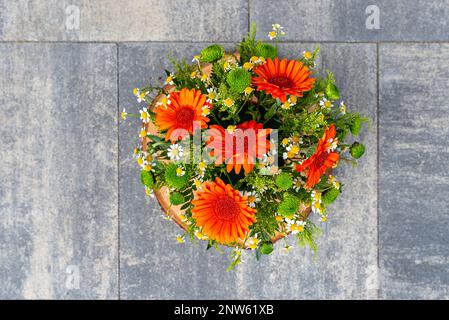 Ein Strauß Wildblumen von Gerbera und Kamille in einem Topf auf einer Pflasterplatte. Stockfoto