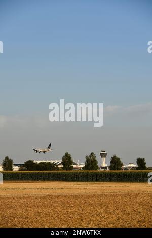 Star Alliance, A320, Überblick, Ansicht, Panorama, Landschaft, Flugzeug, Landung, Landung, Ankunft, Green, Field, Airport, München, Bayern, Deutschland Stockfoto