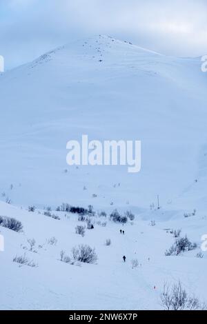 Drei 11. Soldaten der Airborne Division fahren im Skigebiet Arctic Valley in der Nähe von Anchorage Schneeschuhwanderungen und Ski, während sie an den Winterspielen der Arctic Angels am 2. Februar 2023 teilnehmen. Die jährlichen Winterspiele der Arctic Angels, zu denen dieses Jahr Schneeschuhwanderungen, Abfahrtsski und Skilanglauf gehörten, sind eine Veranstaltung, die darauf abzielt, die Bereitschaft der Soldaten im rauen Klima von Alaska und der Arktis zu fördern. Stockfoto