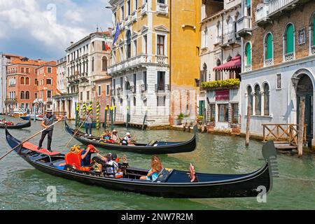 Canal Grande/Canal Grande mit Gondolieren in traditionellen Gondeln, die Touristen auf Besichtigungstouren in Venedig, Venetien, Norditalien mitnehmen Stockfoto