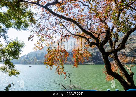 Verschiedene Ausblicke auf den Bhimtal See, Uttarakhand Stockfoto