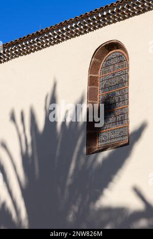 Am späten Nachmittag wirft die Sonne einen Schatten einer Palme auf die Wand der Kirche der Unbefleckten Empfängnis in La Laguna, Teneriffa. Stockfoto