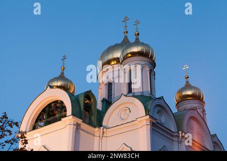 Die Kathedrale der Heiligen Großen Märtyrerkatharina bei Nacht. Dies ist eine orthodoxe Kirche im Zentrum der Stadt Puschkin. Die Kathedrale wurde 183 erbaut Stockfoto