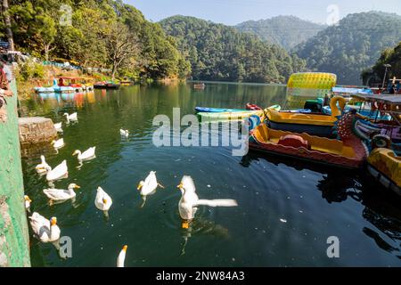 Verschiedene Ausblicke auf Sattal Lake, Uttarakhand Stockfoto