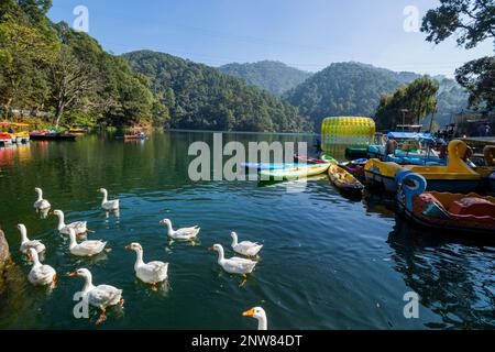 Verschiedene Ausblicke auf Sattal Lake, Uttarakhand Stockfoto