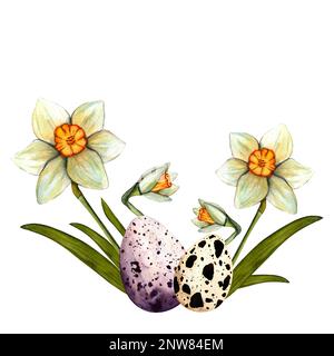Aquarelle osterfrühlingsszene mit Narzissen und farbigen Eiern. Clipart auf weißem Hintergrund für Design Stockfoto