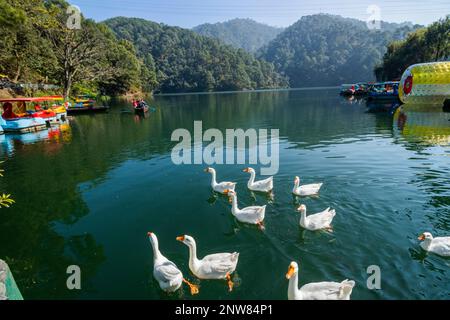 Verschiedene Ausblicke auf Sattal Lake, Uttarakhand Stockfoto