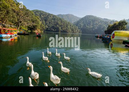 Verschiedene Ausblicke auf Sattal Lake, Uttarakhand Stockfoto