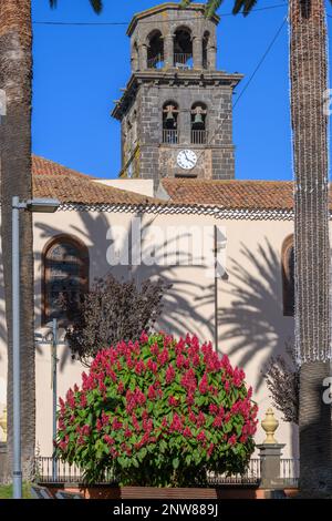 Kirche der Unbefleckten Empfängnis Stockfoto