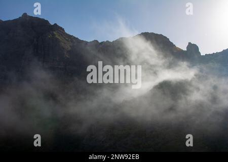 Nebel im grünen Teno-Gebirge bei Masca auf der Kanarischen Insel Teneriffa, Spanien Stockfoto