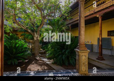 Die grüne Terrasse in der historischen Casa de los Capitanes Generales in La Laguna, Teneriffa, mit ihrem traditionellen kanarischen Holzbalkon Stockfoto