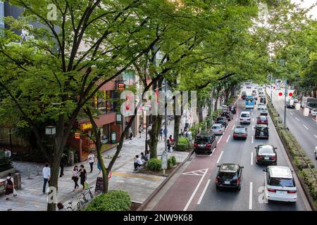 Omotesando Straße. Tokyo. Japan. Stockfoto