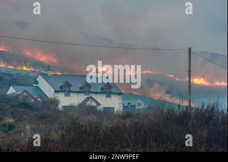 Goleen, West Cork, Irland. 28. Februar 2023. Ein Riesenfeuer brennt außer Kontrolle, gefährlich nahe an einem Haus auf einem Berg über Goleen in West Cork heute Abend. Ab morgen ist es illegal, Vegetation bis zum 1. September zu verbrennen. Das Verbrennen der Vegetation wird durch die Wildlife Acts kontrolliert. Kredit: AG News/Alamy Live News Stockfoto