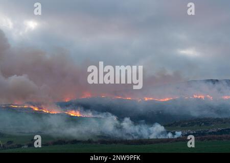 Goleen, West Cork, Irland. 28. Februar 2023. Ein Riesenfeuer brennt heute Abend außer Kontrolle auf einem Berg über Goleen in West Cork. Ab morgen ist es illegal, Vegetation bis zum 1. September zu verbrennen. Das Verbrennen der Vegetation wird durch die Wildlife Acts kontrolliert. Kredit: AG News/Alamy Live News Stockfoto