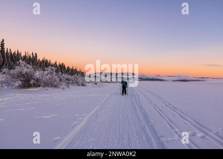 Eine Person beim Skifahren auf Langlaufstrecken im Winter bei Sonnenuntergang. Stockfoto