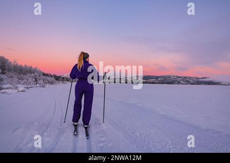 Atemberaubende Sonnenuntergänge in Pastelltönen entlang des Yukon River mit einer Person, die in der Ferne Ski fährt und wunderschöne Winterlandschaft bietet. Stockfoto