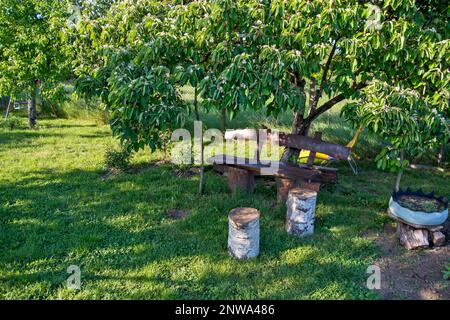 Innenhof, Garten und Bank im Schatten, umgeben von Gras. Ideal für Urlaub in der Natur. Stockfoto