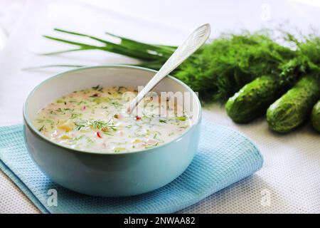 Okroshka - traditionelle russische kalte Suppe mit frischer Gurke, gekochten Eiern und Dill Stockfoto