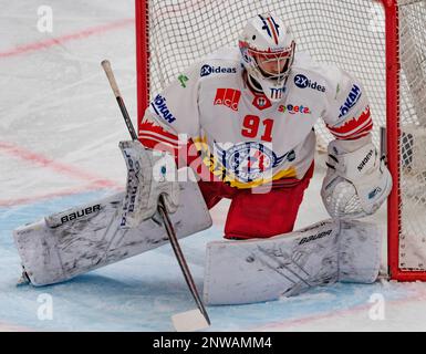 Lausanne Schweiz, 02/28/2023: Robin Mayer (Torwart) von SCRJ Lakers (91) ist während des 50. Spiels der regulären Saison der Schweizerischen Nationalliga 2022-2023 in Aktion. Der 50. Tag der regulären Saison zwischen Lausanne HC und den SCRJ Lakers von Rapperswil-Jona und St. Gallen fand in der Vaudoise Arena in Lausanne statt. (Crédit : Eric Dubost/Alamy Live News). Stockfoto