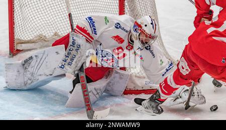 Lausanne Schweiz, 02/28/2023: Robin Mayer (Torwart) von SCRJ Lakers (91) ist während des 50. Spiels der regulären Saison der Schweizerischen Nationalliga 2022-2023 in Aktion. Der 50. Tag der regulären Saison zwischen Lausanne HC und den SCRJ Lakers von Rapperswil-Jona und St. Gallen fand in der Vaudoise Arena in Lausanne statt. (Crédit : Eric Dubost/Alamy Live News). Stockfoto