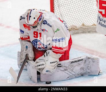 Lausanne Schweiz, 02/28/2023: Robin Mayer (Torwart) von SCRJ Lakers (91) ist während des 50. Spiels der regulären Saison der Schweizerischen Nationalliga 2022-2023 in Aktion. Der 50. Tag der regulären Saison zwischen Lausanne HC und den SCRJ Lakers von Rapperswil-Jona und St. Gallen fand in der Vaudoise Arena in Lausanne statt. (Crédit : Eric Dubost/Alamy Live News). Stockfoto