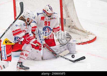 Lausanne Schweiz, 02/28/2023: Robin Mayer (Torwart) von SCRJ Lakers (91) ist während des 50. Spiels der regulären Saison der Schweizerischen Nationalliga 2022-2023 in Aktion. Der 50. Tag der regulären Saison zwischen Lausanne HC und den SCRJ Lakers von Rapperswil-Jona und St. Gallen fand in der Vaudoise Arena in Lausanne statt. (Crédit : Eric Dubost/Alamy Live News). Stockfoto