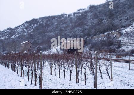 Bad Kreuznach, Deutschland - 8. Februar 2021: Weinberg im Winter mit einem Eisenbahntunnel durch die Berge im Hintergrund an einem grauen, kalten Wintertag Stockfoto