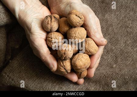 Eine alte Frau, die zu Hause viele Walnüsse in den Händen hält, auf dem Hintergrund eines braunen Schals, Nüsse in den Händen der Großmutter, gesundes Essen, veganes Essen Stockfoto