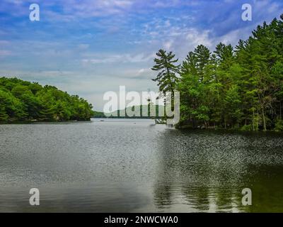 Wunderschöne Seen-Landschaft in der Nähe von Haliburton, ON, Kanada Stockfoto