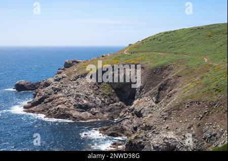 Vue sur les falaises et le sentier des douaniers de la pointe du Raz en Bretagne Stockfoto