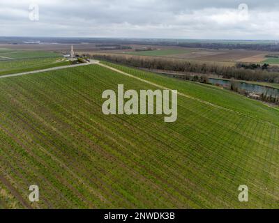 Panoramablick aus der Luft auf die bewölkte Landschaft, hügelige Weinberge in der Nähe des Champagnerdorfes Ay gran Cru bei Epernay, Weinproduktion in Frankreich Stockfoto