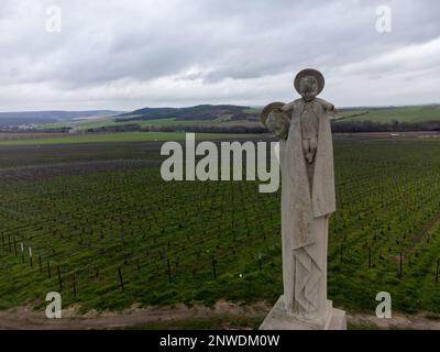 Panoramablick aus der Luft auf die bewölkte Landschaft, hügelige Weinberge in der Nähe des Champagnerdorfes Ay gran Cru bei Epernay, Weinproduktion in Frankreich Stockfoto