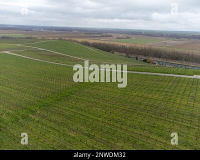 Panoramablick aus der Luft auf die bewölkte Landschaft, hügelige Weinberge in der Nähe des Champagnerdorfes Ay gran Cru bei Epernay, Weinproduktion in Frankreich Stockfoto