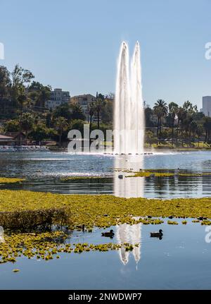 Ein Bild vom Echo Park Lake und seiner geiserschießen aus der Mitte. Stockfoto