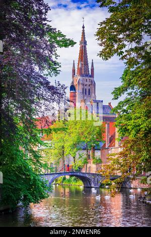 Brügge, Belgien. Die Kirche unserer Lieben Frau in Brügge, Flandern, ist ein beeindruckendes gotisches Meisterwerk, das für seinen hohen Backsteinturm bekannt ist Stockfoto