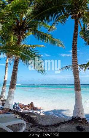 Eine Landschaft mit Palmen und weißem Sand am Mahahual Beach, Mahahual, Quintana Roo, Mexiko Stockfoto