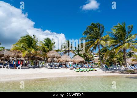 Mahahual, Quintana Roo, Mexiko, Beach Club mit langen Stühlen und Sonnenschirmen mit Palmen am Mahahual Beach Stockfoto