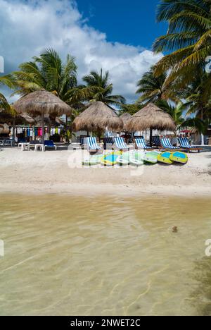 Mahahual, Quintana Roo, Mexiko, Beach Club mit langen Stühlen und Sonnenschirmen mit Palmen am Mahahual Strand Stockfoto