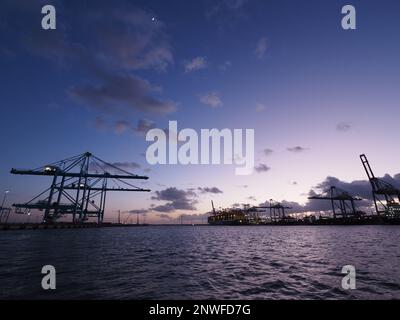 Nachteinbruch im Hochseehafen Rotterdam, Niederlande, mit Silhouettenkränen und einem großen Containerschiff in der Ferne. Stockfoto