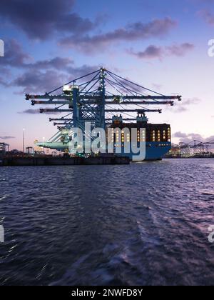 Nachteinbruch im Hochseehafen Rotterdam, Niederlande, mit Silhouettenkränen und einem sehr großen Containerschiff, dem Maersk München, Nummer 2 Stockfoto