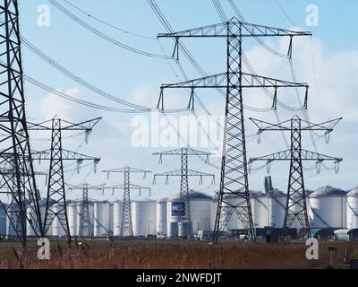 Viele Hochspannungsleitungen masten im Hafengebiet von Rotterdam, Niederlande. Der Hafen von Rotterdam ist der größte Energieverbraucher Stockfoto