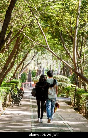 San Miguel de Allende Guanajuato Mexico, historisches Zentrum, Parque Benito Juarez Park, Fußgängerpromenade, männliche Männer, weibliche Stockfoto
