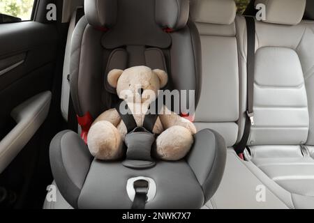 Der Teddybär wird im Kindersitz mit dem Autosicherheitsgurt befestigt Stockfoto