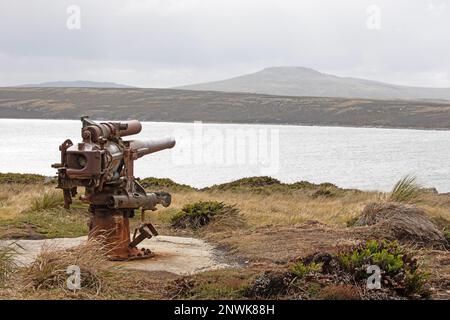 Ein britisches Feldgewehr aus dem Ersten Weltkrieg, in der Nähe von Gypsy Cove, auf den Falklandinseln. Stockfoto