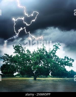 Dunkler, wolkiger Himmel mit blitzartigen Bäumen. Gewitter Stockfoto